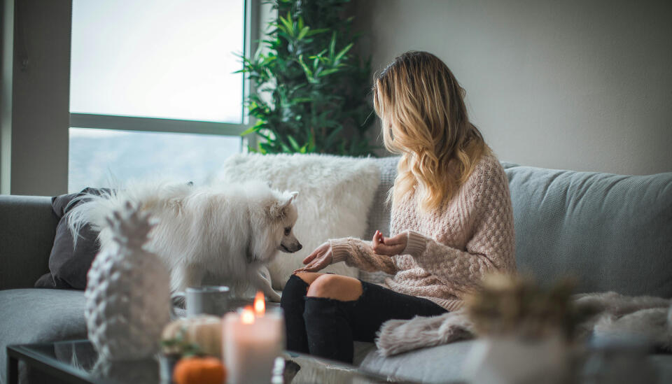 Tailored lettings & property management in Hove